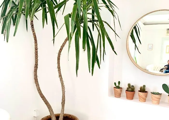 King A Argostoli (Kefalonia)